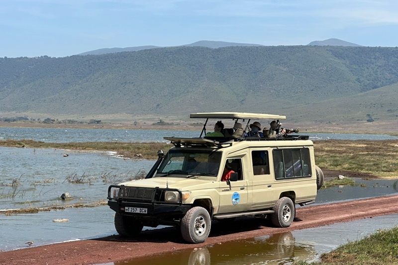 Is a Safari a Must-Do.?