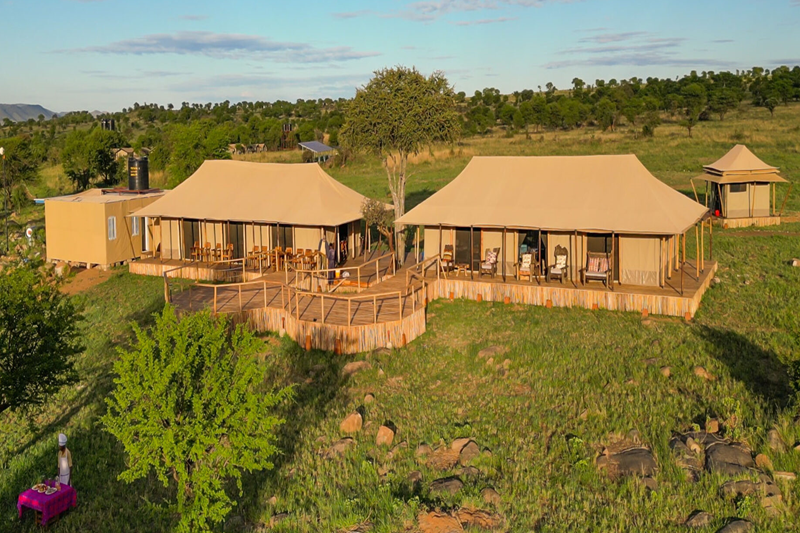 How Do I Book a Safari with BTD Safaris?