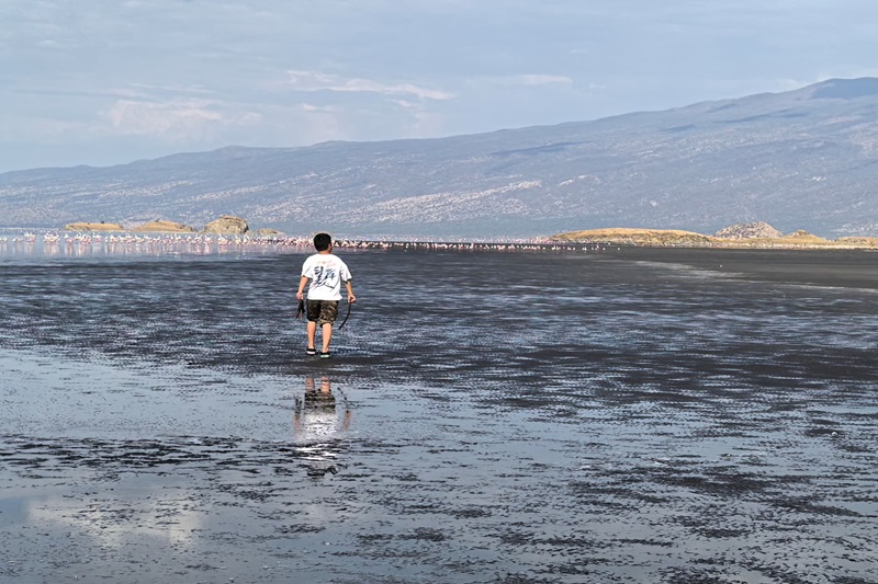 Can I Travel Alone on a Safari?