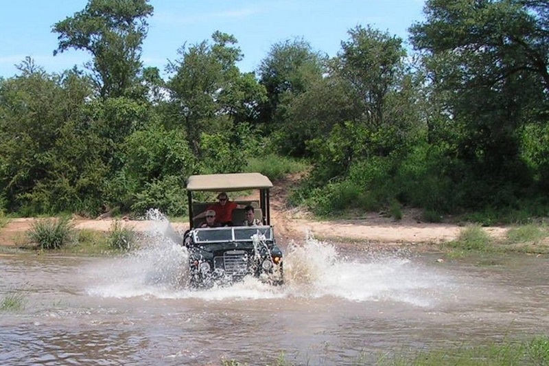 Common Safari Challenges and How to Overcome Them